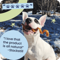 Dog with a Pawstruck Bully Spring in its mouth in a snowy outdoor setting with a five paw review that reads, "I love that the product is all natural - Stockstill"