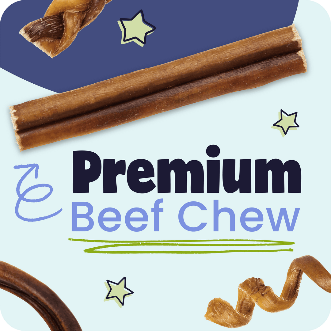 Premium beef chew product with star decorations on a light blue background