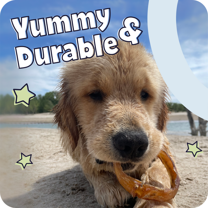 Dog on a beach chewing on Pawstruck Bully Rings with text &