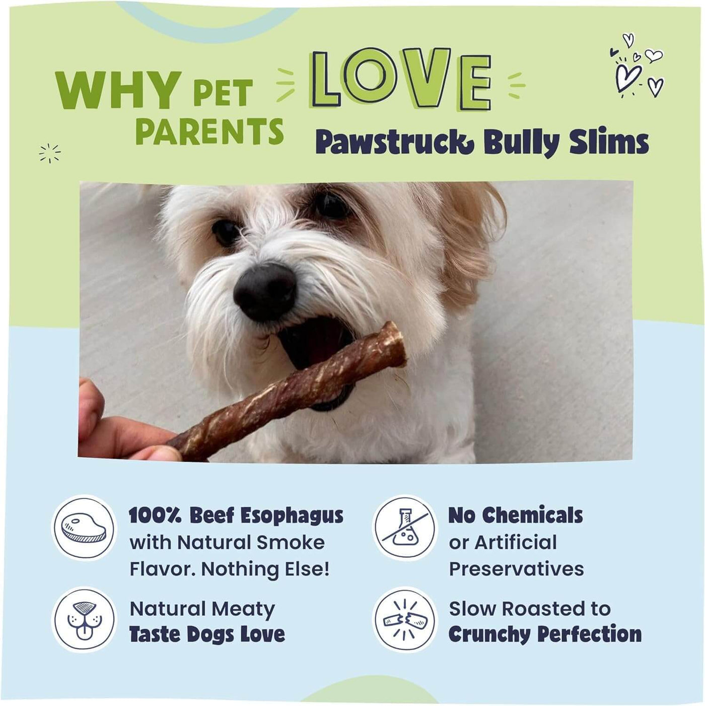 Why Pet Parents Love Pawstruck Bully Treat Sticks