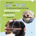 Pawstruck makes it easy and fun for pet parents