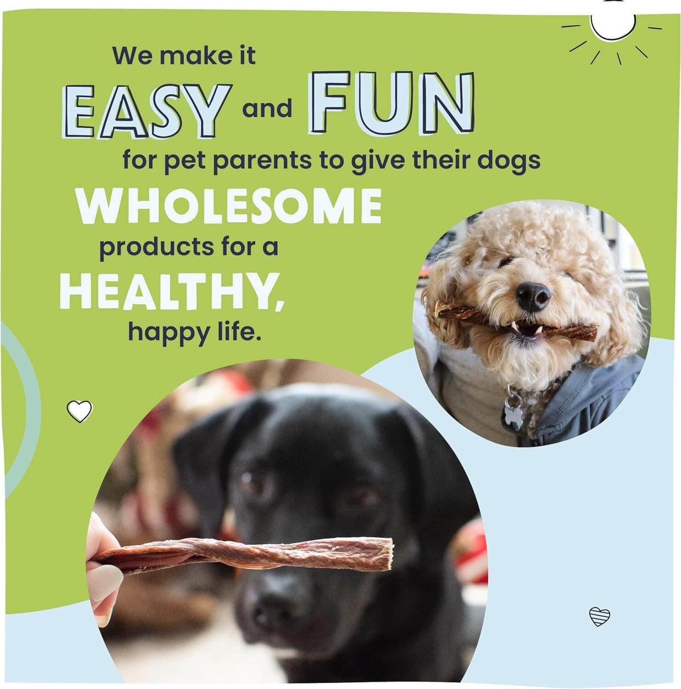 Pawstruck makes it easy and fun for pet parents