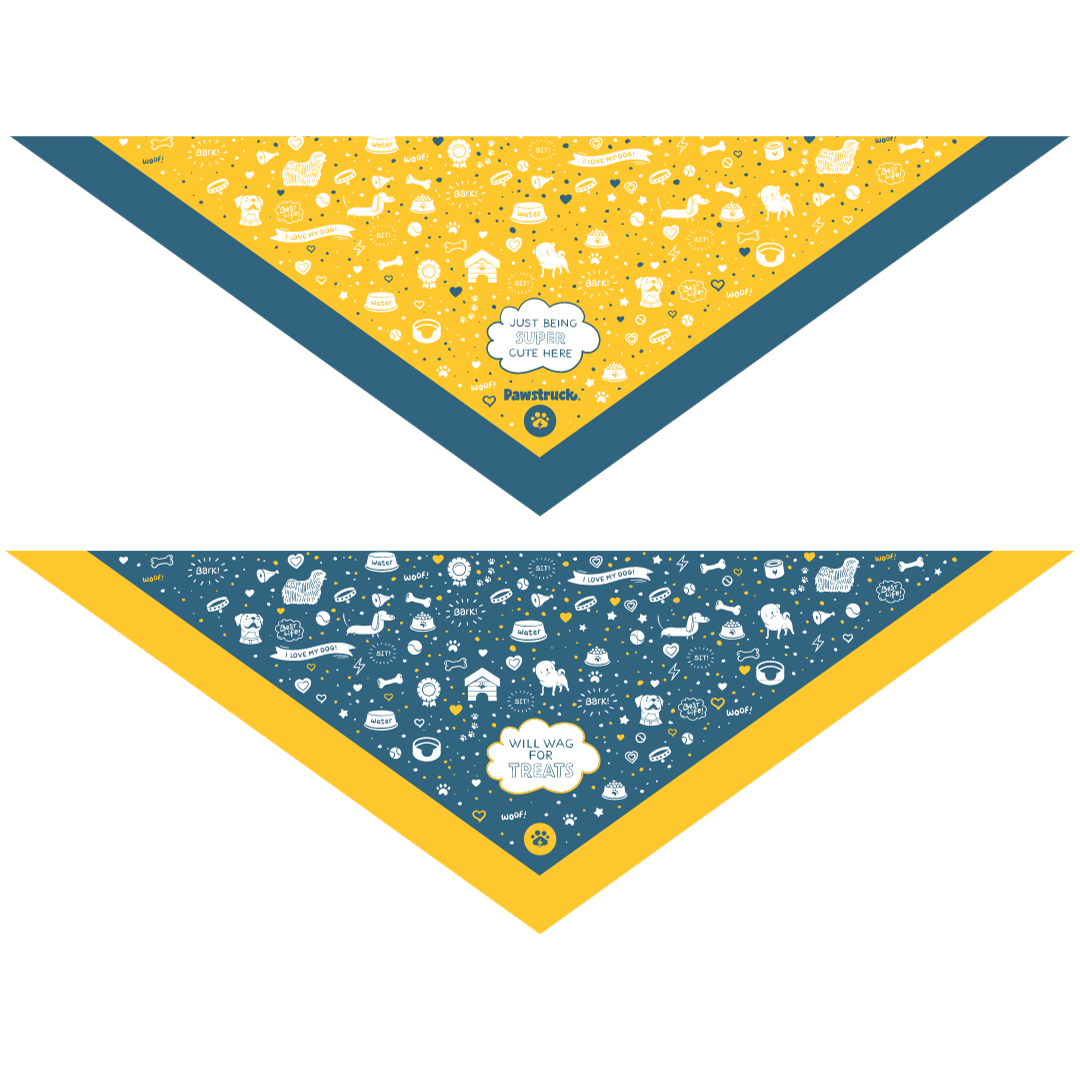 Reversible Dog Bandana - An image showing both sides of a reversable bandana for dogs