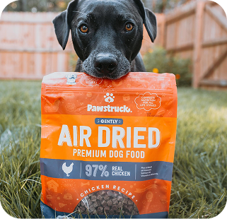 Black dog holding orange Pawstruck Air Dried Premium Dog Food package in backyard setting
