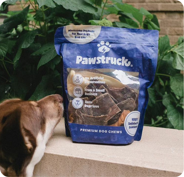 Blue Pawstruck premium dog chews package on concrete surface with brown and white dog sniffing nearby, green plants in background