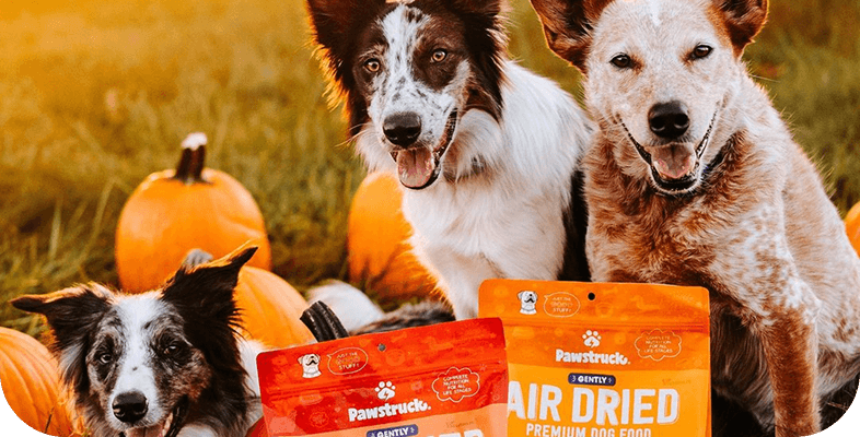 Three dogs with packages of Pawstruck dog Air Dried food in a grassy outdoor setting with pumpkins.