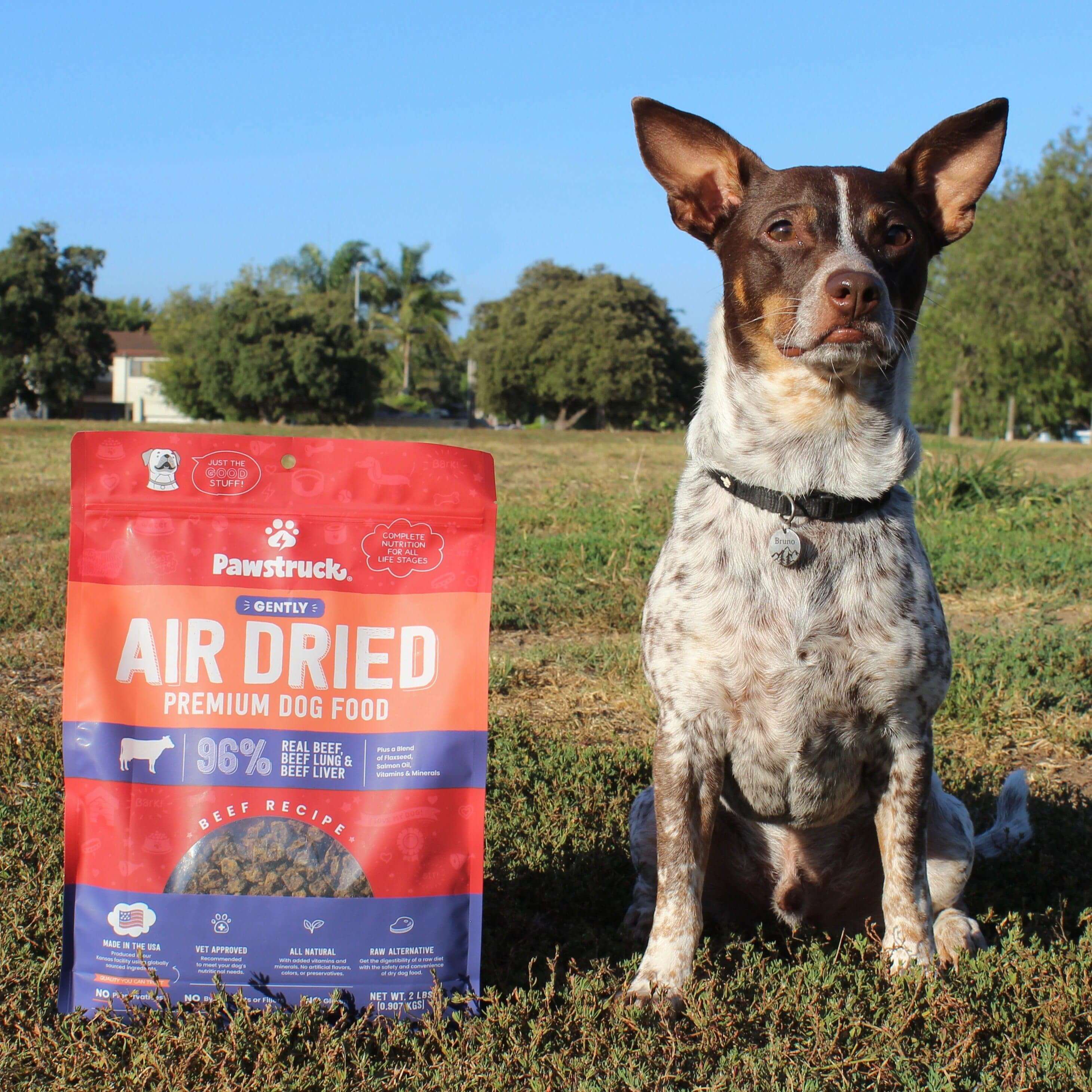 Small brown and white dog on grass with bag of Air Dried Beef dog food