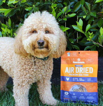 Cute fluffy tan dog next to a bag of chicken flavor air dried dog food, outside