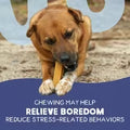 Yak Dog Chew