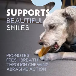 Yak Dog Chew