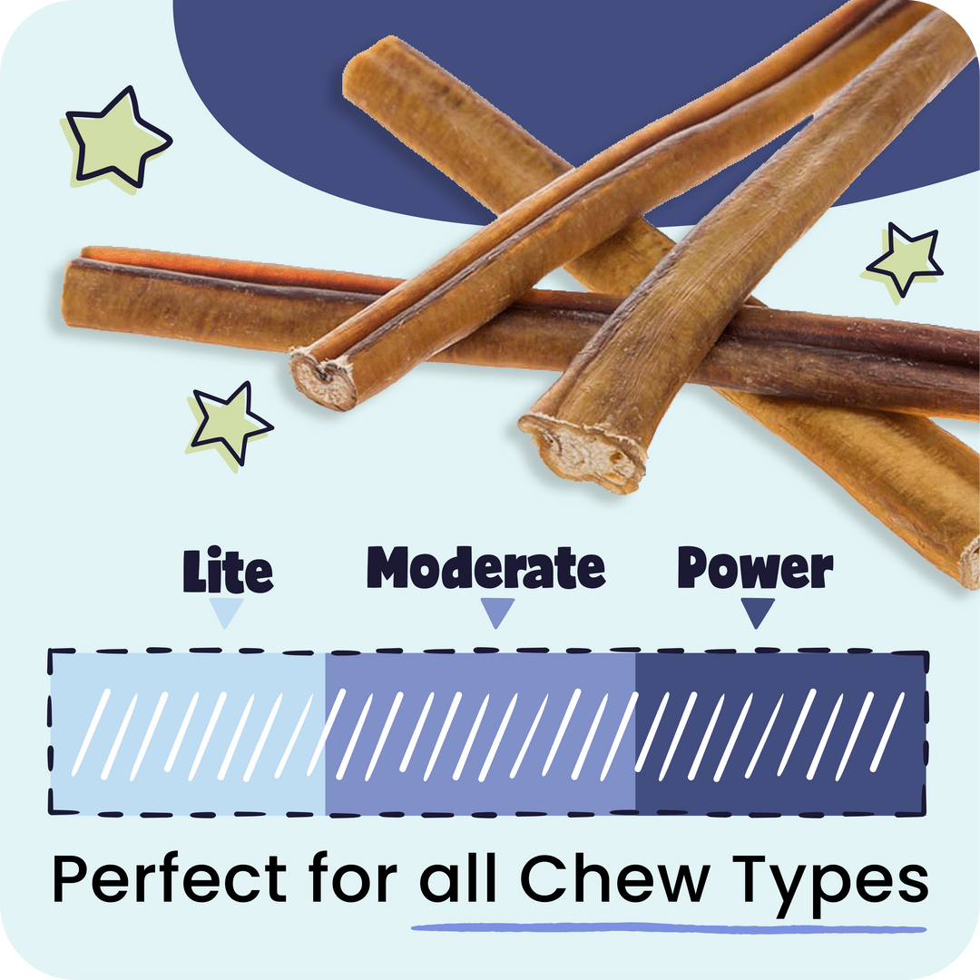 Loving Pets Bullish Bully Sticks And Be Chewsy Bully Stick Alternative Dental Dog Treat