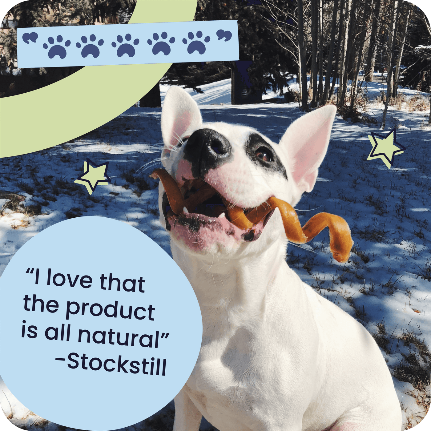 Dog holding a chew in a snowy outdoor setting with text and graphics overlay.