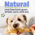 Dog holding a treat with text about being 'natural' and free from grains, wheat, corn, and soy.