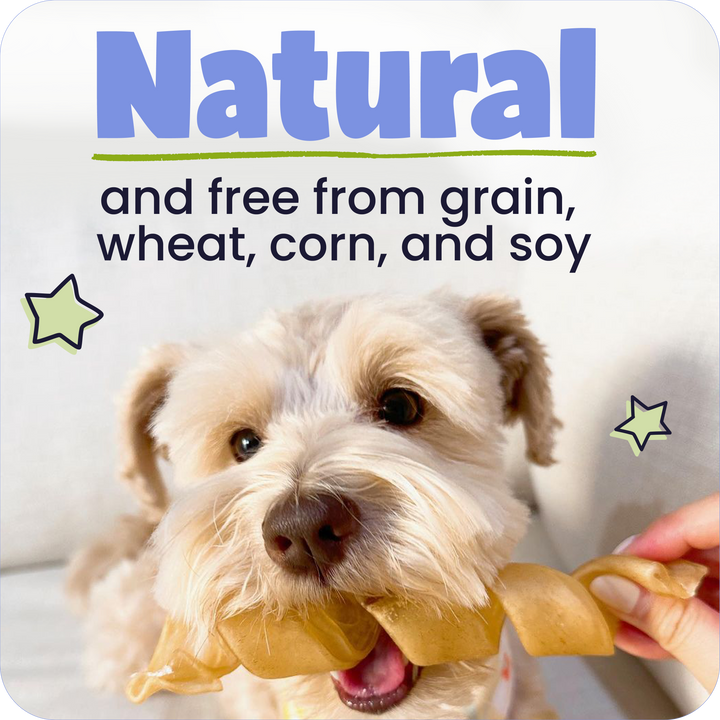 Dog holding a treat with text about being &