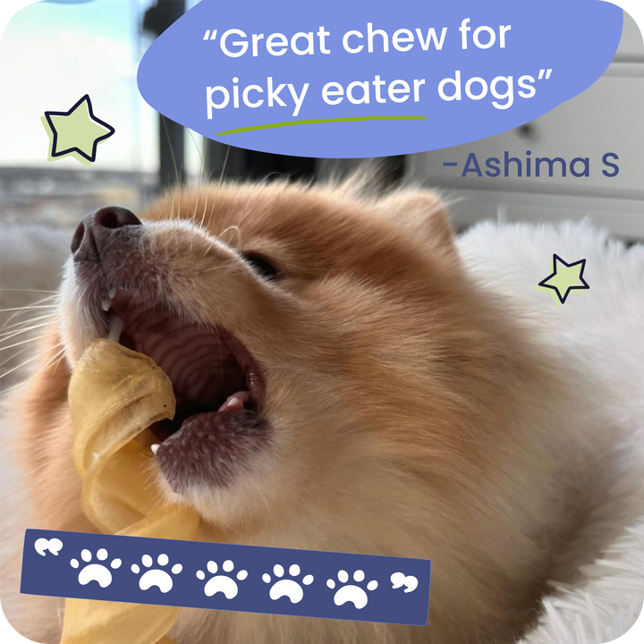 Dog chewing on a treat with text overlay about it being &