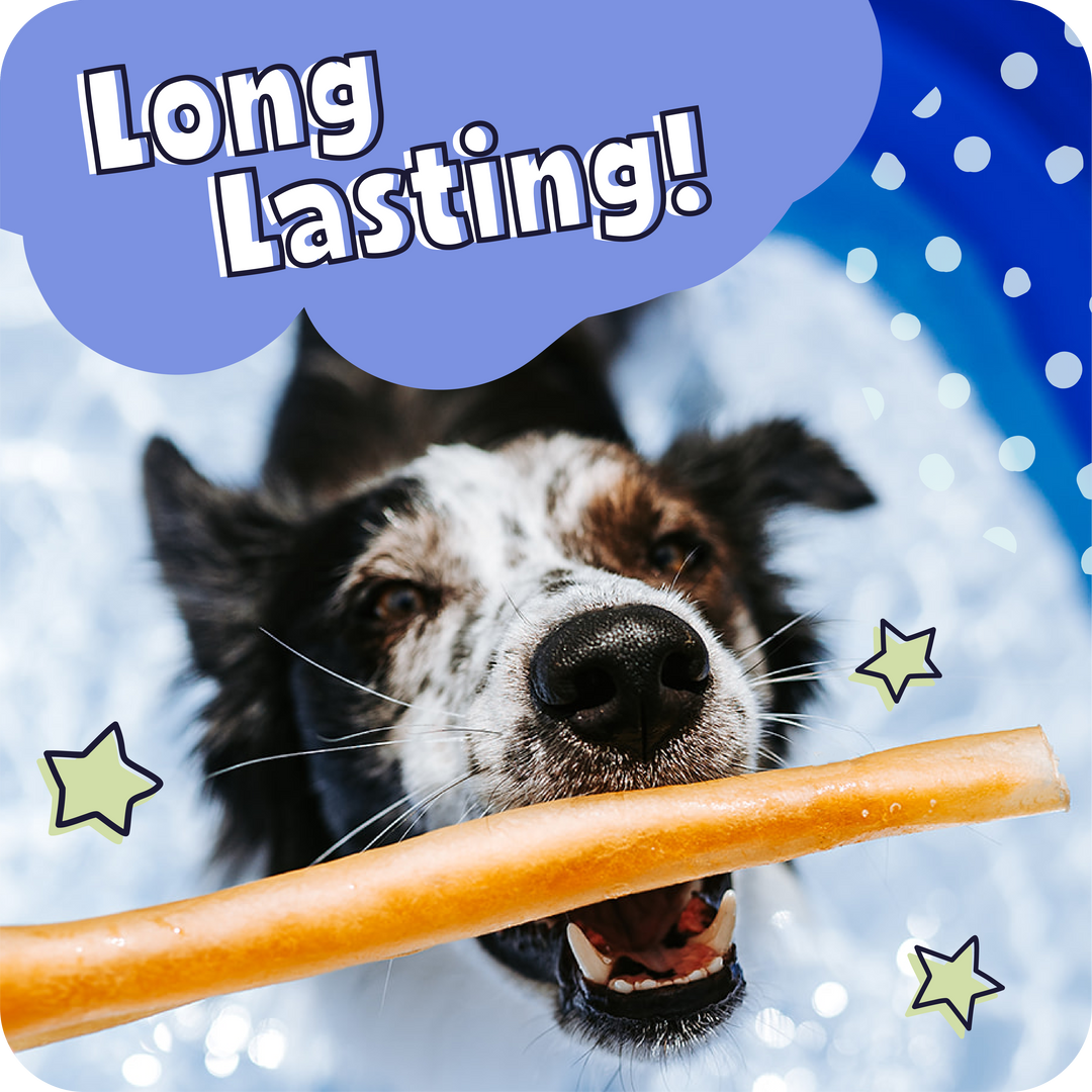 Dog holding a treat with &