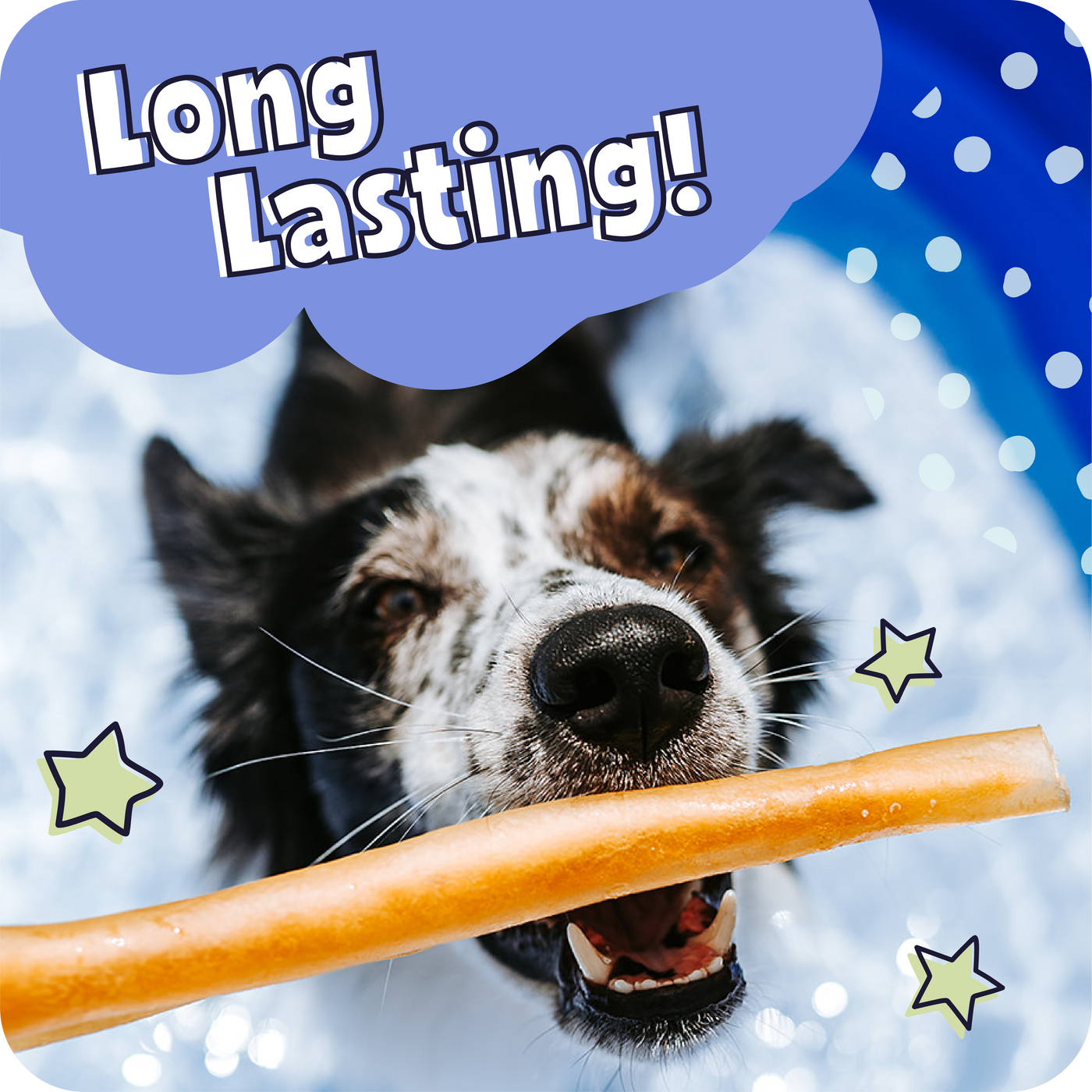 Dog holding a treat with 'Long Lasting!' text and star graphics on a blue background