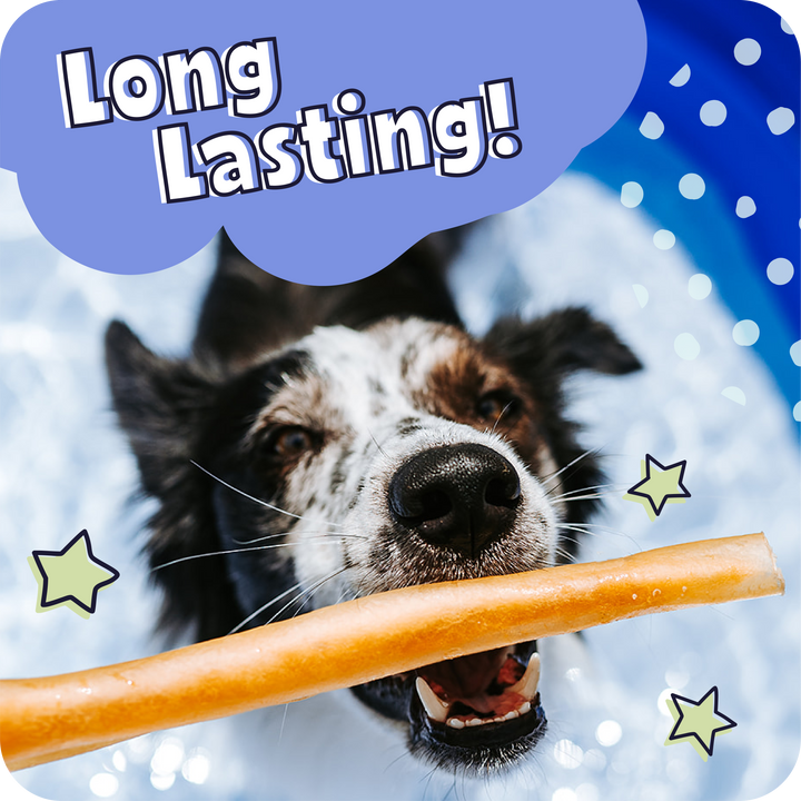 Dog holding a treat with &