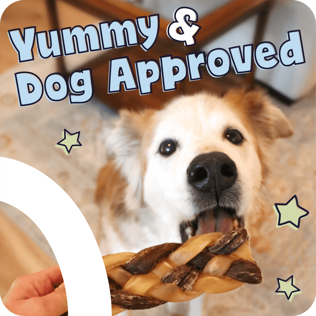 Dog holding a treat with &