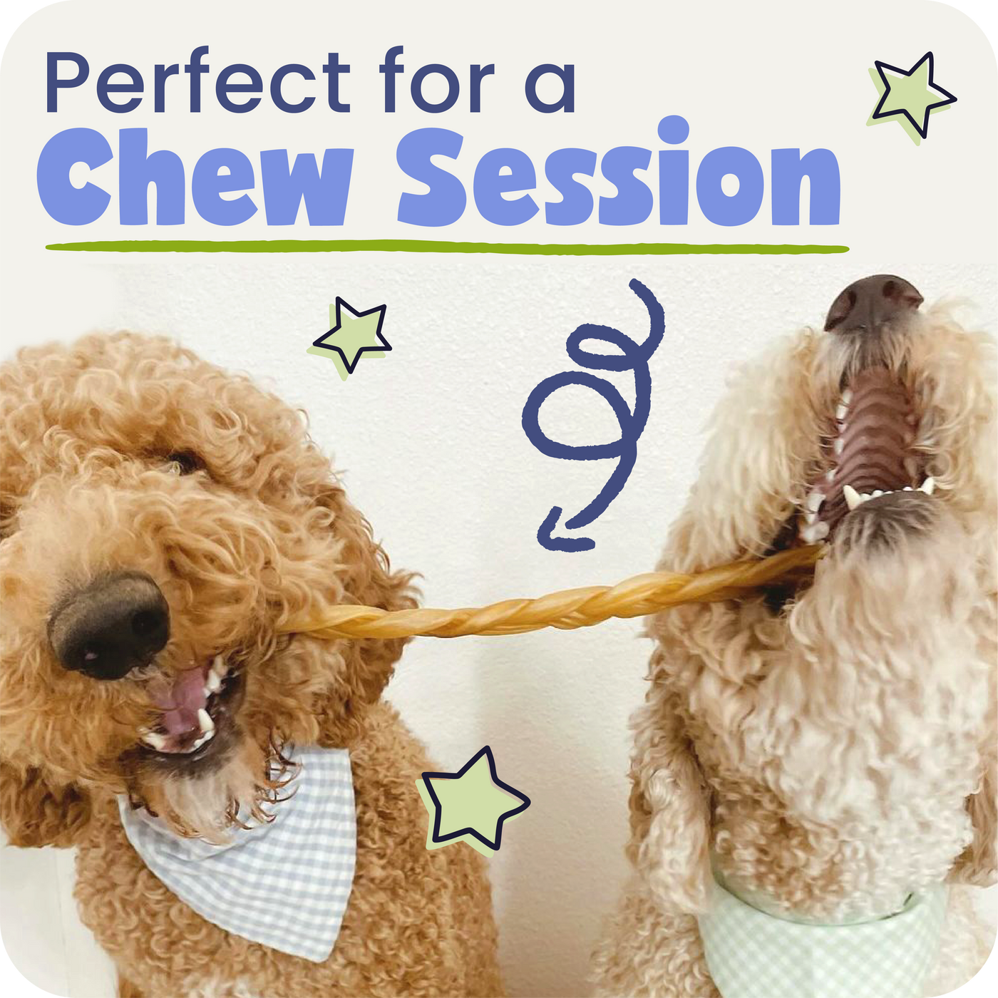 Two dogs playing with a collagen braid, with text 'Perfect for a Chew Session' above them.