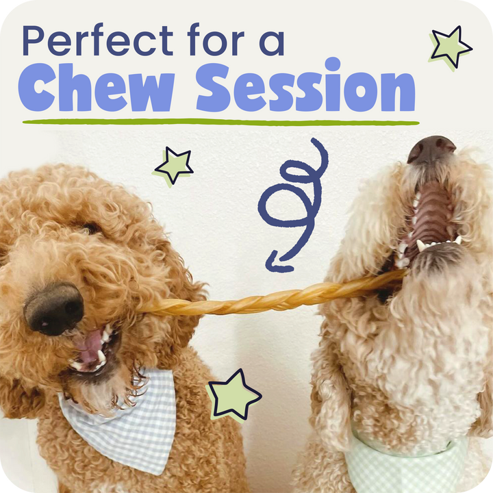 Two dogs playing with a collagen braid, with text &