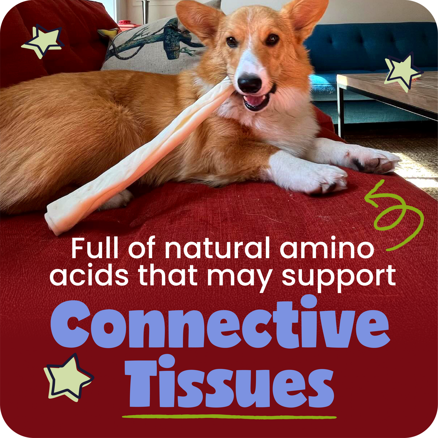 Dog lying on a red surface with a chew treat, surrounded by promotional text about natural amino acids.