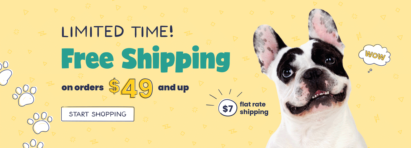 Photo of cute dog with text: LIMITED TIME! Free Shipping on orders $49 and up. START SHOPPING button.