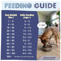 Feeding guide for dogs with a photo of a dog eating from a bowl.
