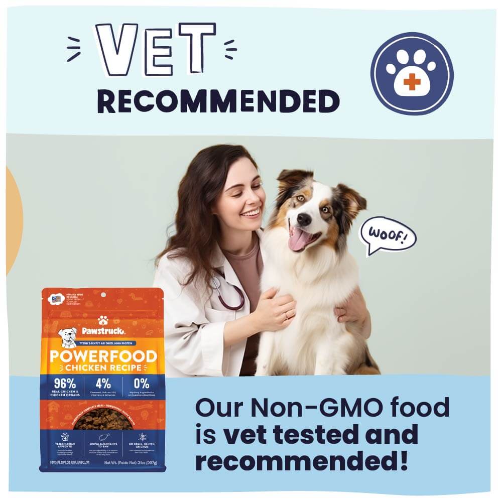 Woman in a white coat holding a dog next to a package of Powerfood dog food with 'Vet Recommended' text.