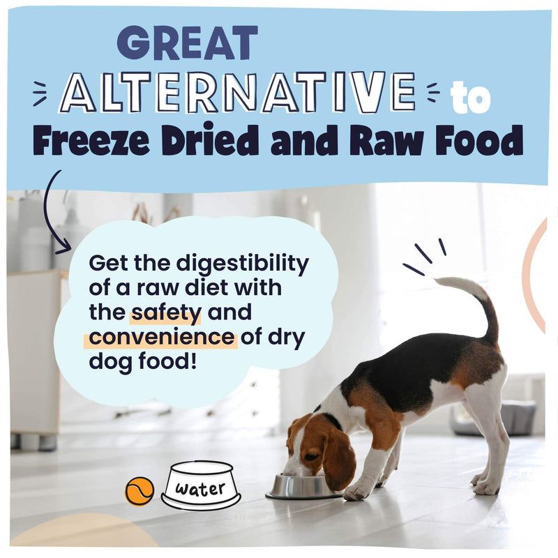 Image of Beagle eating with the statement this food is a great alternative to freeze dried and raw food.