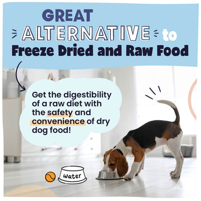 Air Dried Dog Food, Chicken Recipe