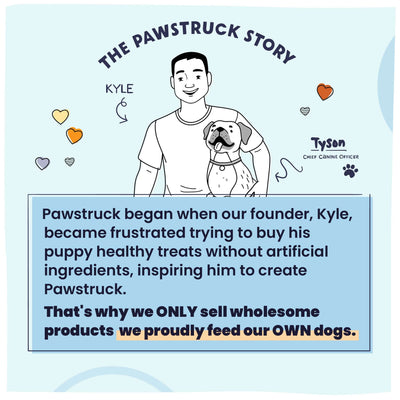 The owner Kyle and his dog Tyson's story of founding Pawstruck.