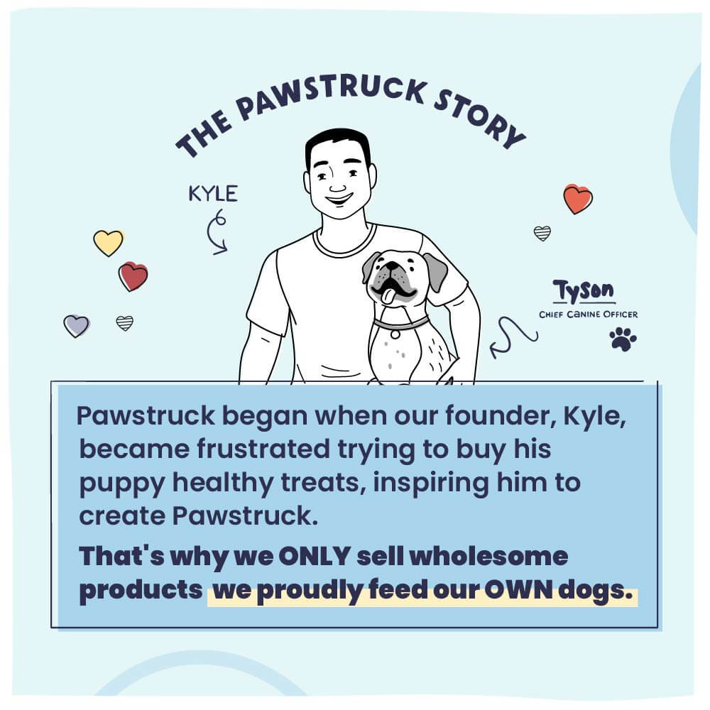 Illustration of a man with a dog and text about Pawstruck on a light blue background