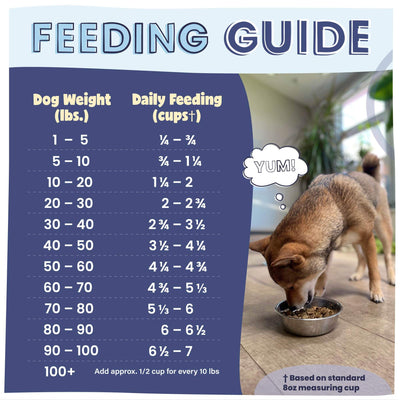 Feeding guide of dog food based on dog's weight
