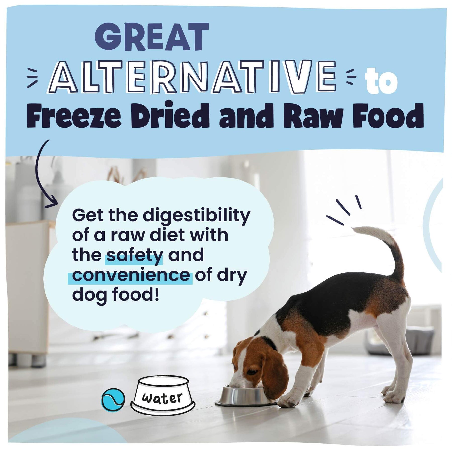 Best fish food deals for dogs