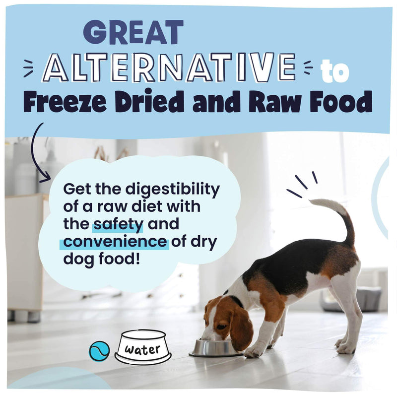Image with text of Beagle eating stating this food is a great alternative to raw food and freeze dried