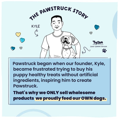 The founder of Pawstruck's Kyle and Tyson's story.