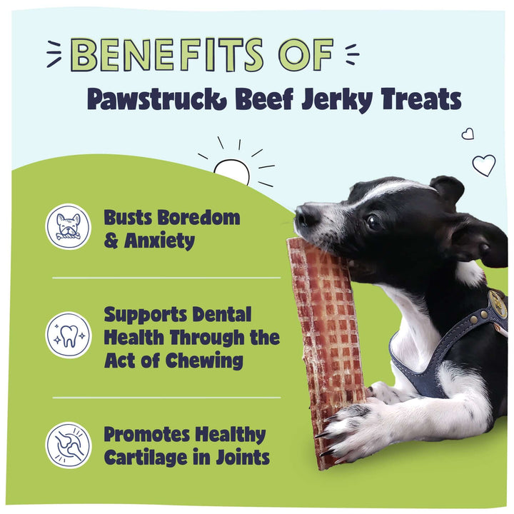 Benefits of the Pawstruck Beef Jerky Joint Health Treats