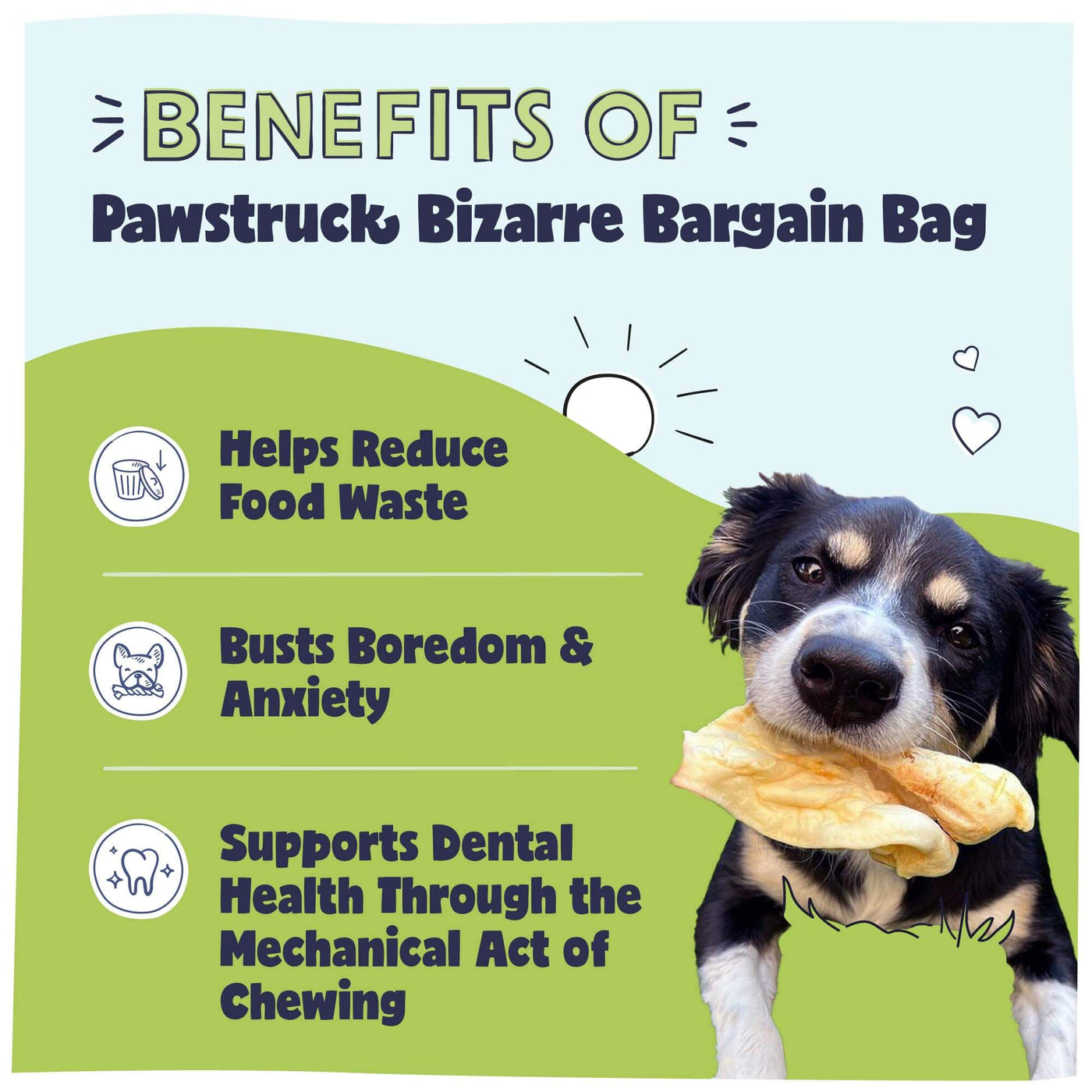 Benefits of Pawstruck Bizarre Bargain Grab Bag
