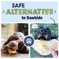 Safe alternative to rawhide