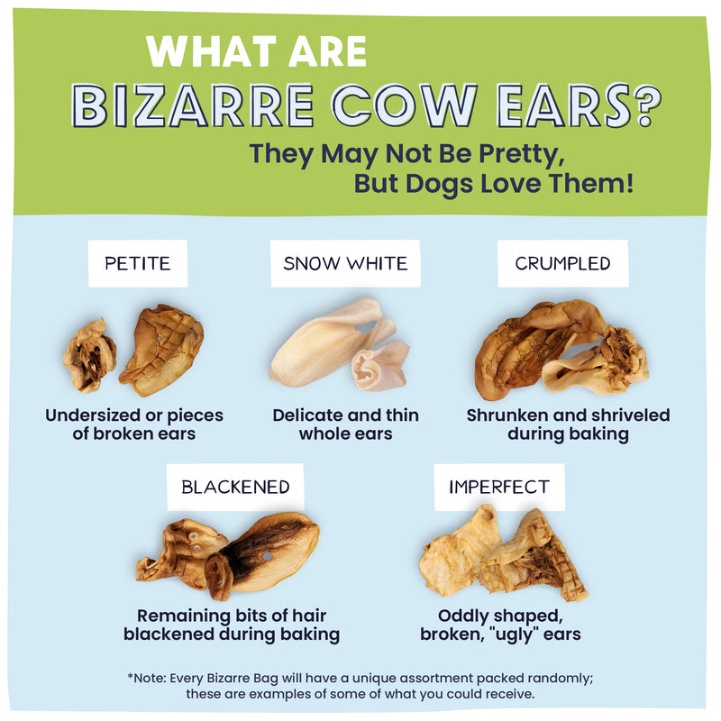 Chew All the Way Stocking Stuffer Bundle