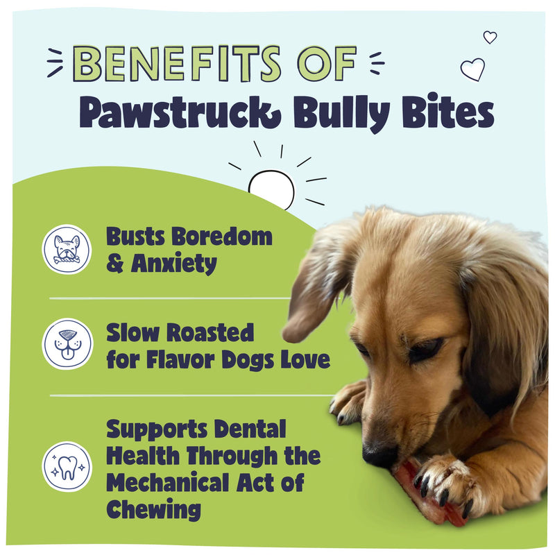 Tiny Tails & Tasty Trail Stocking Stuffer Bundle