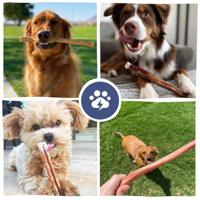 Variety Bulk Straight Bully Sticks for Dogs (Sold by Weight)