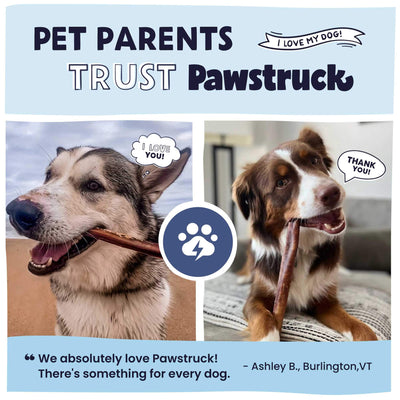 Pet parents trust Pawstruck. Customer testimonials