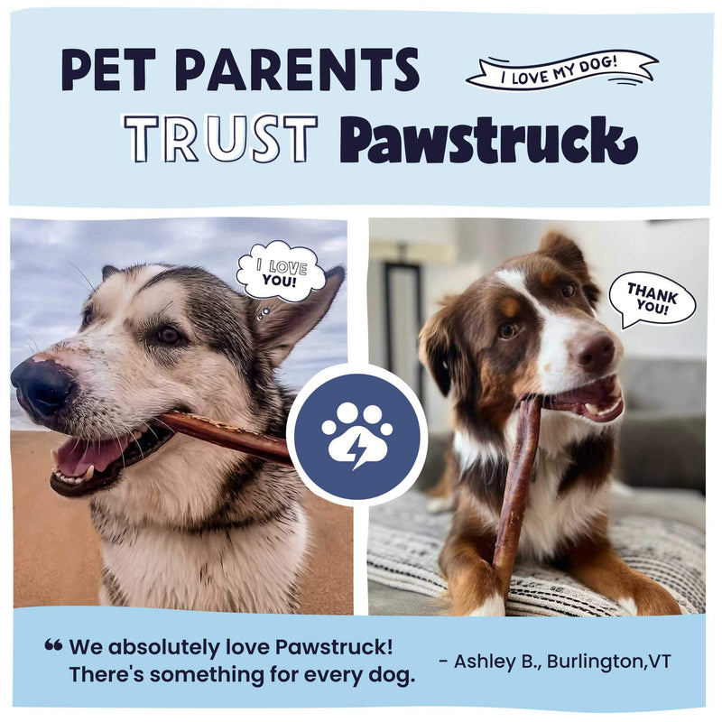 Pet parents trust Pawstruck. Customer testimonials