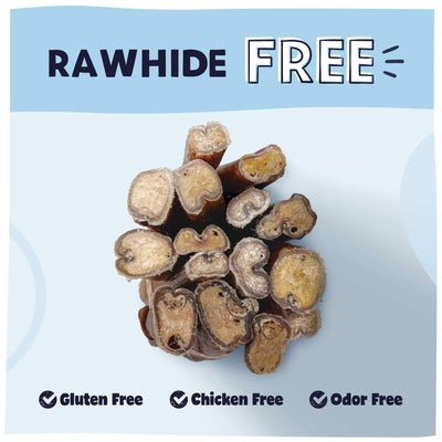 Rawhide free