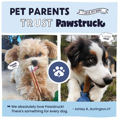 Why pet parents trust Pawstruck