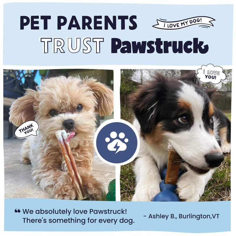 Why pet parents trust Pawstruck