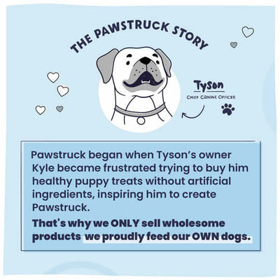 The founder of Pawstruck's Kyle and Tyson's story.