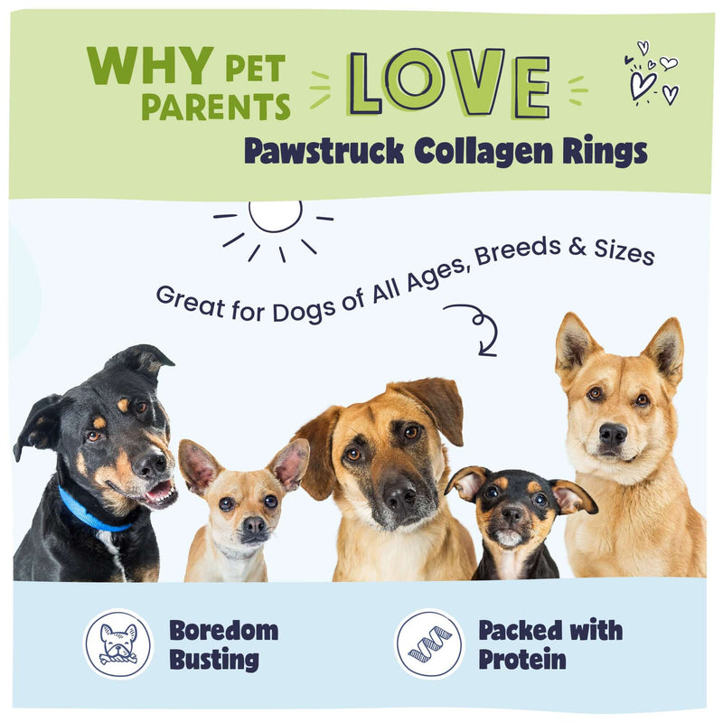  An image of 5 different sized dogs with text explaining why pet parents love Pawstruck Collagen Springs. Boredom busting, packed with protein, low odor.